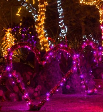 Ethel M's 8th Annual Lights of Love