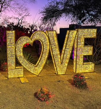 Ethel M's Annual Lights of Love